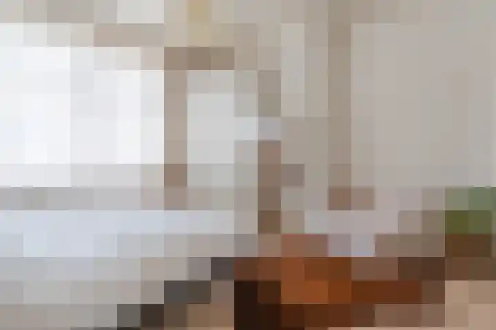 Zuidzijde Zoom 24 Bergen op Zoom thumbnail 4