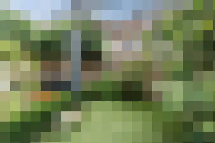 Zuidzijde Zoom 24 Bergen op Zoom thumbnail 46