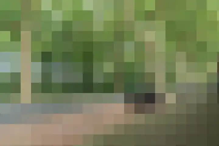 Zuidzijde Zoom 24 Bergen op Zoom thumbnail 49