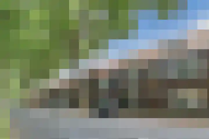 Zuidzijde Zoom 24 Bergen op Zoom thumbnail 5