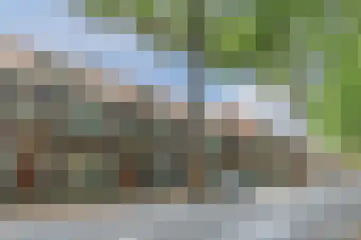 Zuidzijde Zoom 24 Bergen op Zoom thumbnail 6