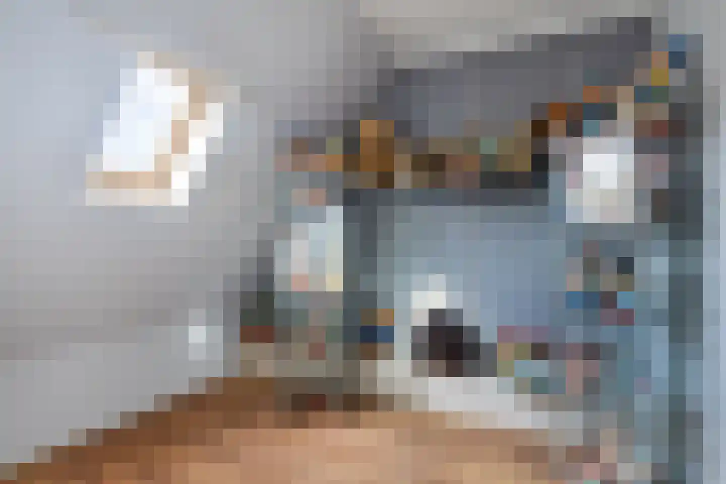 Zuidzijde Zoom 36 Bergen op Zoom thumbnail 34