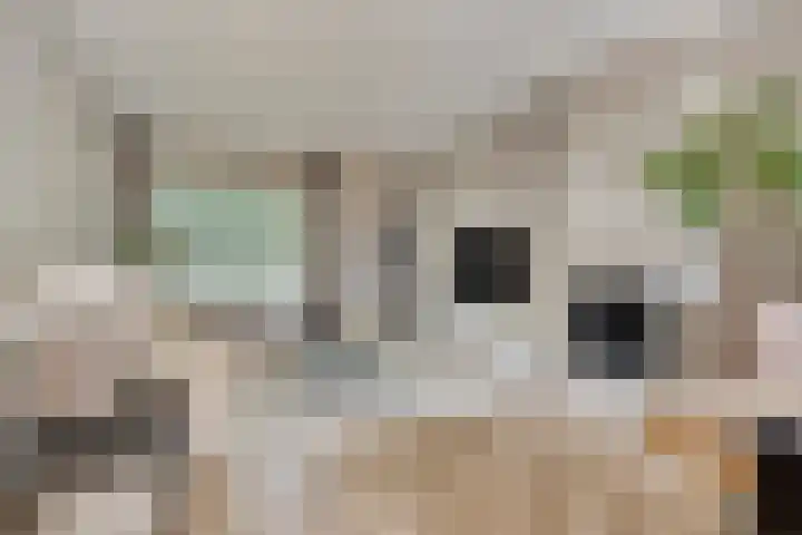 Zuidzijde Zoom 37 Bergen op Zoom thumbnail 10