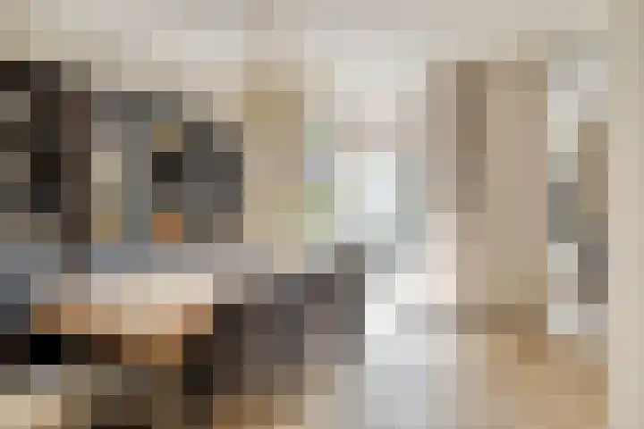 Zuidzijde Zoom 37 Bergen op Zoom thumbnail 12