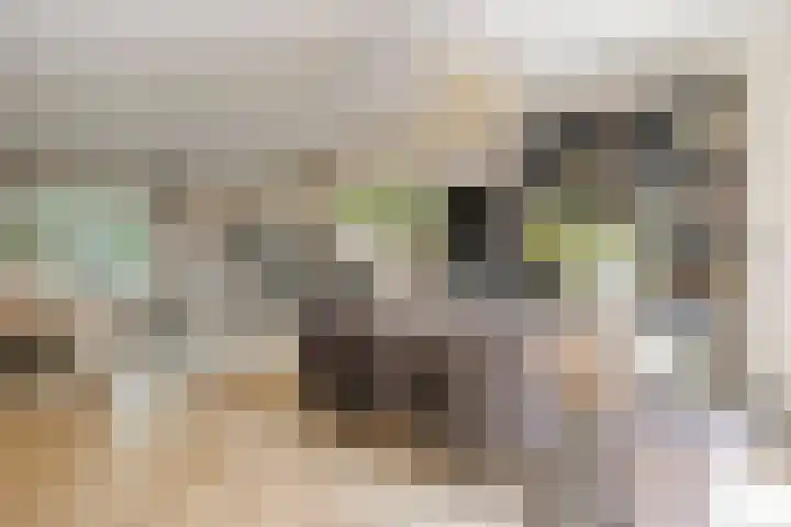 Zuidzijde Zoom 37 Bergen op Zoom thumbnail 13