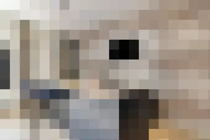 Zuidzijde Zoom 37 Bergen op Zoom thumbnail 14