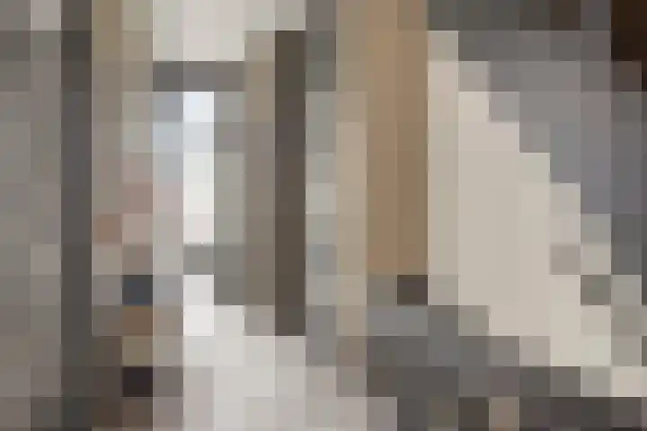 Zuidzijde Zoom 37 Bergen op Zoom thumbnail 18