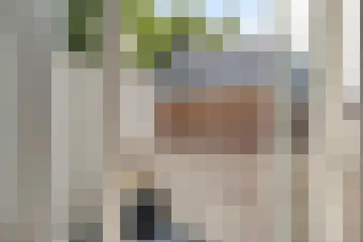 Zuidzijde Zoom 37 Bergen op Zoom thumbnail 20