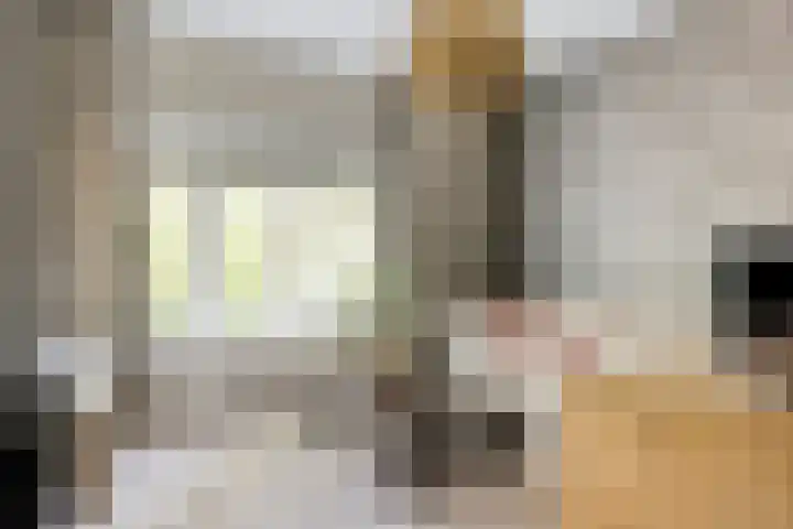 Zuidzijde Zoom 37 Bergen op Zoom thumbnail 22