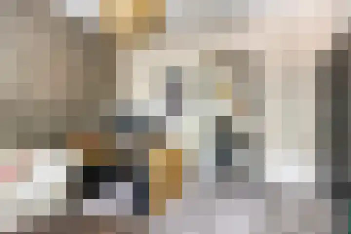 Zuidzijde Zoom 37 Bergen op Zoom thumbnail 23