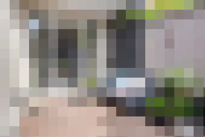 Zuidzijde Zoom 37 Bergen op Zoom thumbnail 31