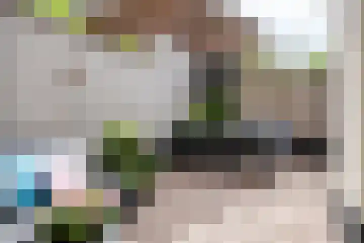 Zuidzijde Zoom 37 Bergen op Zoom thumbnail 32