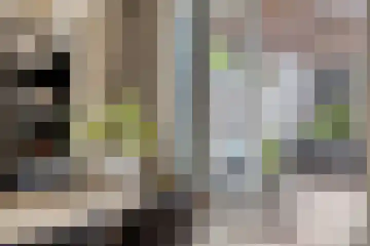 Zuidzijde Zoom 37 Bergen op Zoom thumbnail 4