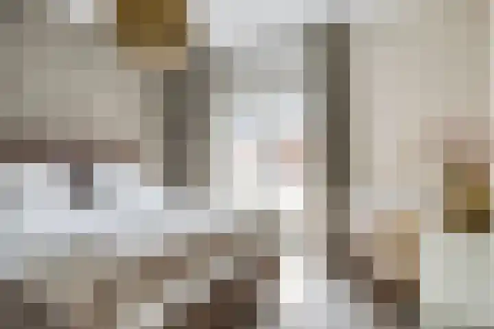 Zuidzijde Zoom 37 Bergen op Zoom thumbnail 5