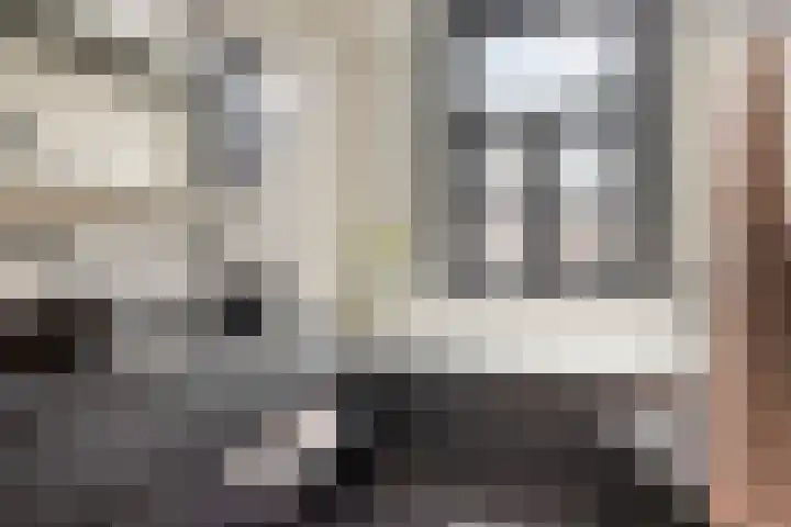 Zuidzijde Zoom 37 Bergen op Zoom thumbnail 6