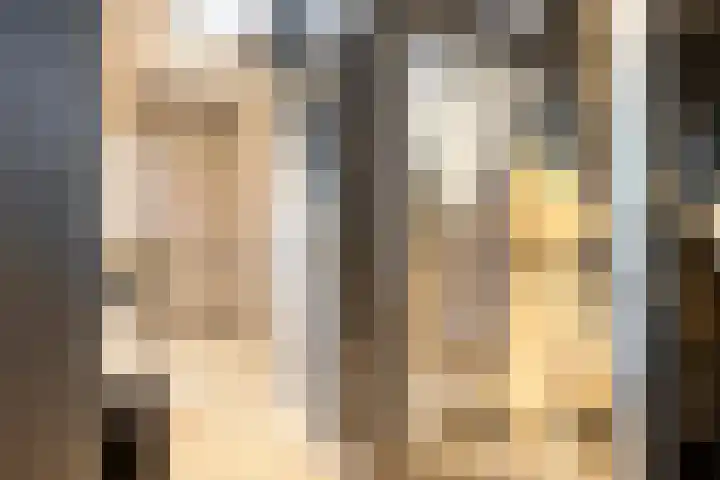 Zuidzijde Zoom 37 Bergen op Zoom thumbnail 8