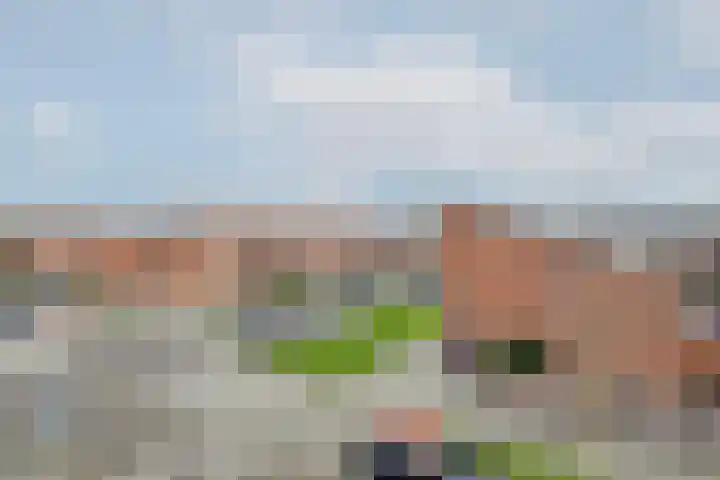Zuidzijdsedijk 140 Hoogvliet Rotterdam thumbnail 39