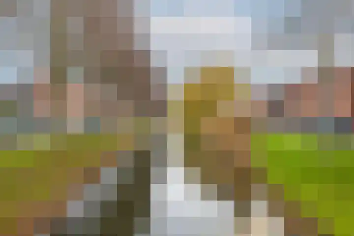 Zuidzijdsedijk 140 Hoogvliet Rotterdam thumbnail 45