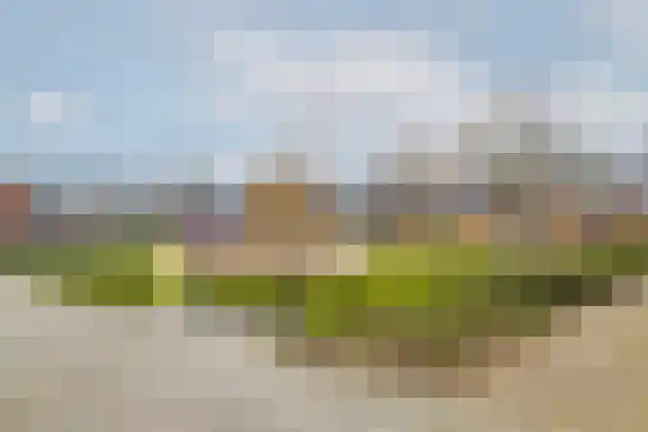 Zuidzijdsedijk 140 Hoogvliet Rotterdam thumbnail 48