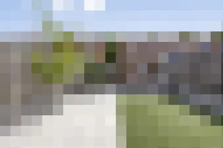 Zuidzijdsedijk 144 Hoogvliet Rotterdam thumbnail 19
