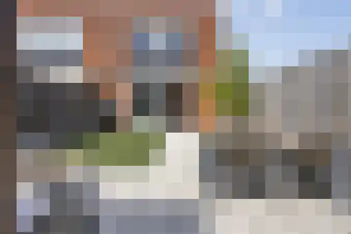 Zuidzijdsedijk 144 Hoogvliet Rotterdam thumbnail 20