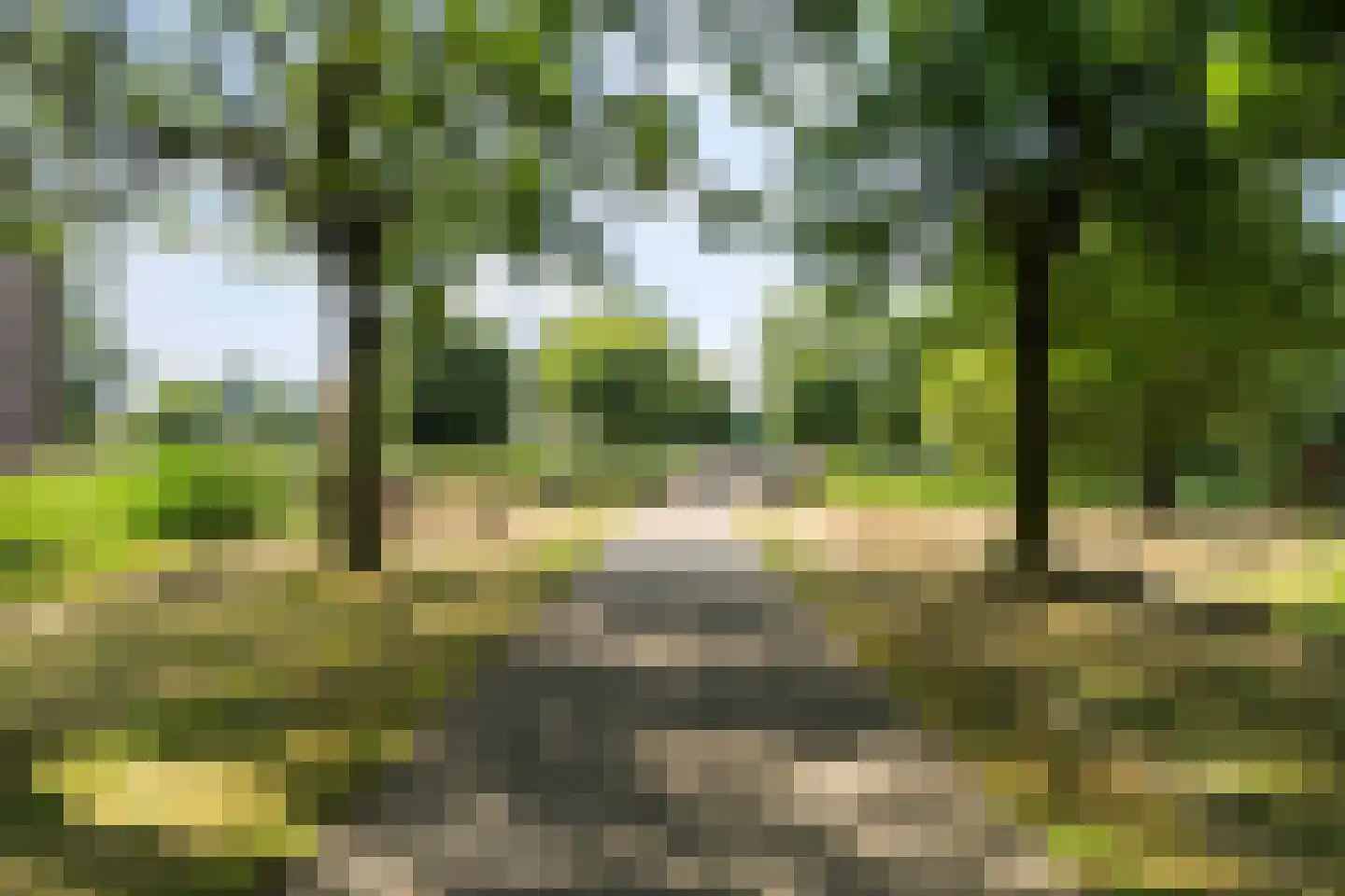 Zuidzijdsedijk 146 Hoogvliet Rotterdam thumbnail 32