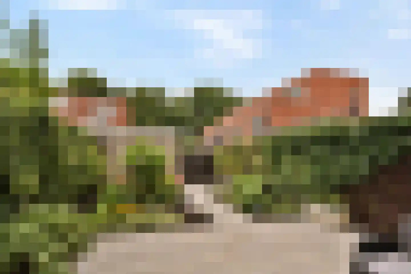 Zuidzijdsedijk 182 Hoogvliet Rotterdam thumbnail 24