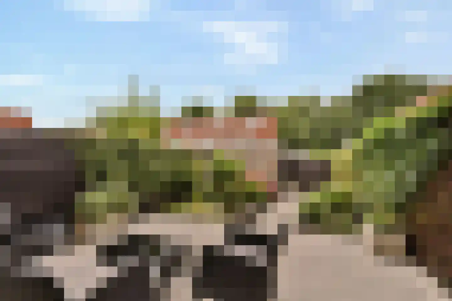 Zuidzijdsedijk 182 Hoogvliet Rotterdam thumbnail 5