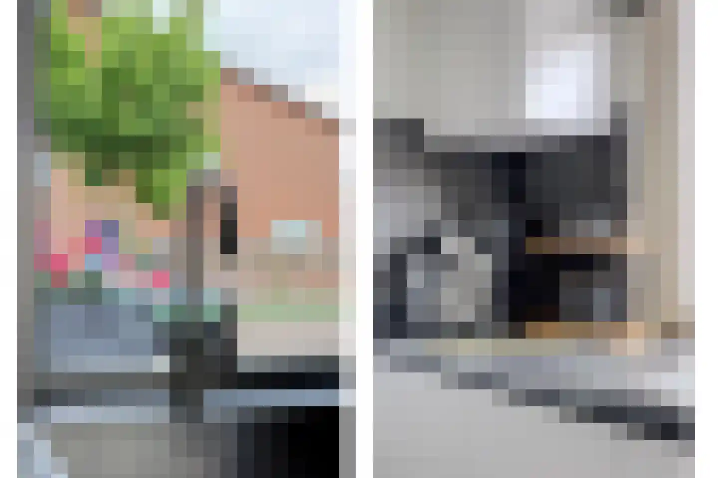 Zuidzijdsedijk 184 Hoogvliet Rotterdam thumbnail 14