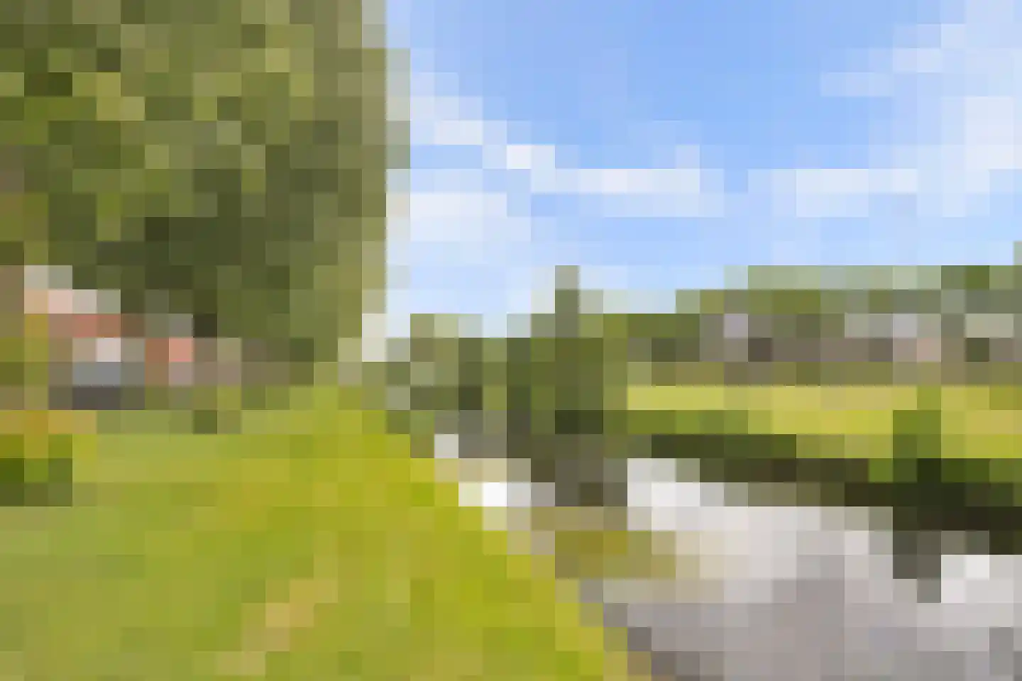 Zuidzijdsedijk 184 Hoogvliet Rotterdam thumbnail 31