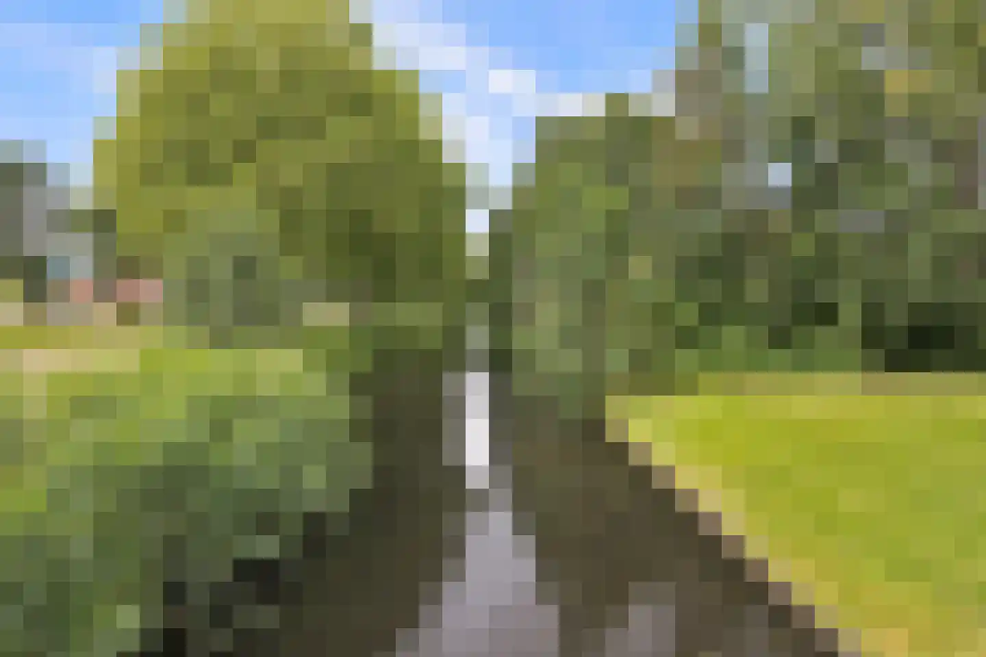Zuidzijdsedijk 184 Hoogvliet Rotterdam thumbnail 32