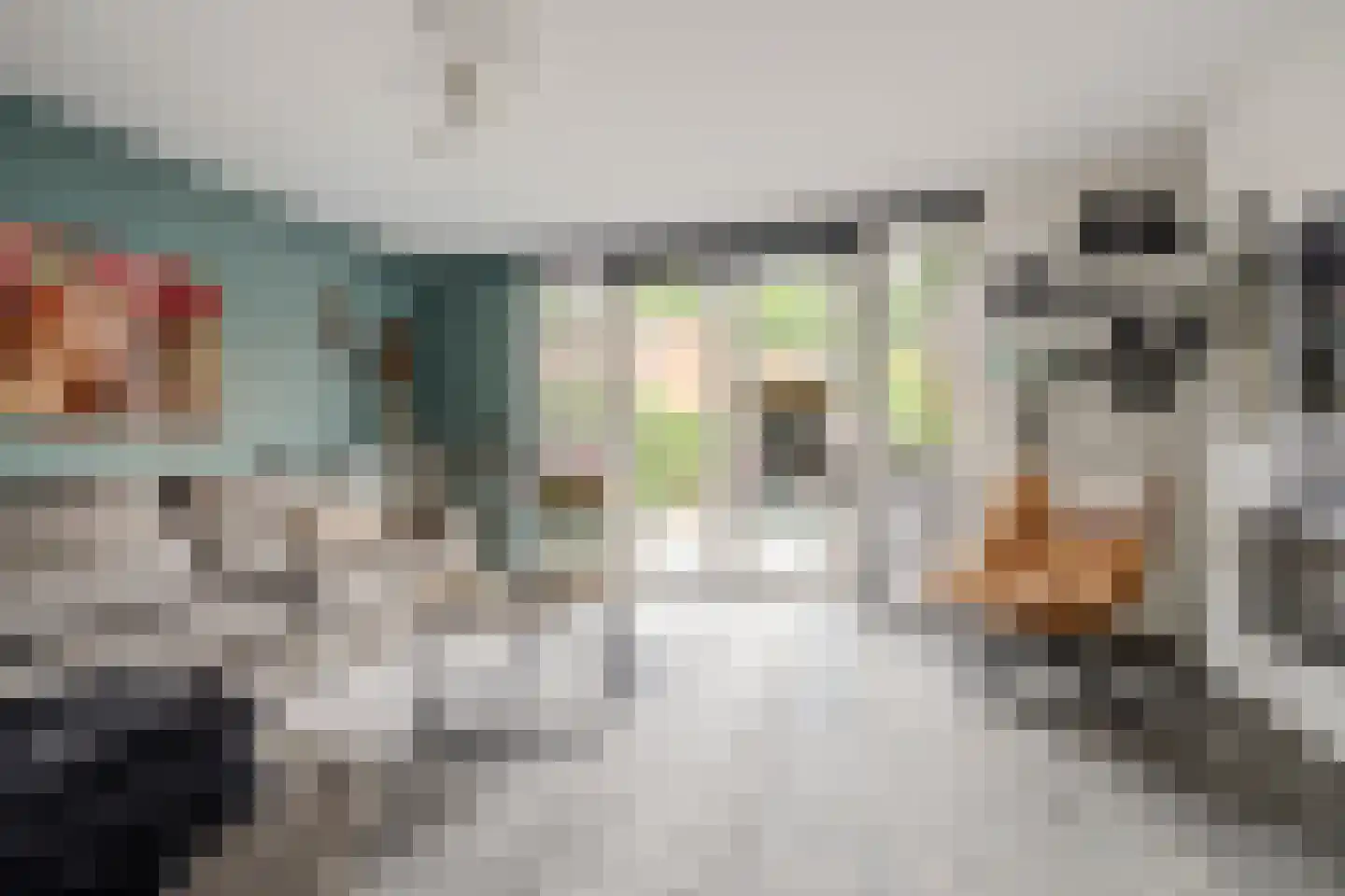 Zuidzijdsedijk 184 Hoogvliet Rotterdam thumbnail 5