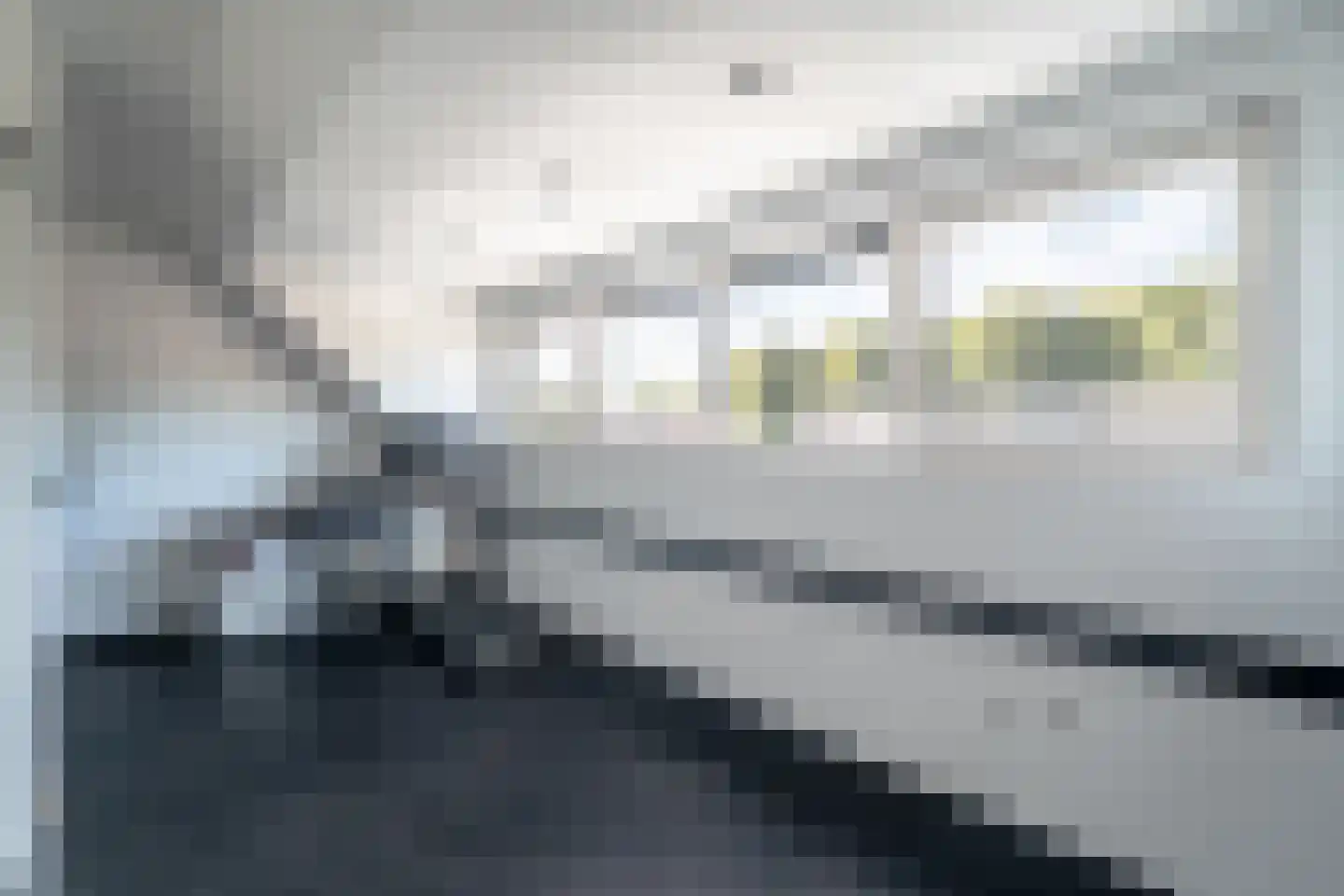 Zuidzijdsedijk 30 Hoogvliet Rotterdam thumbnail 32