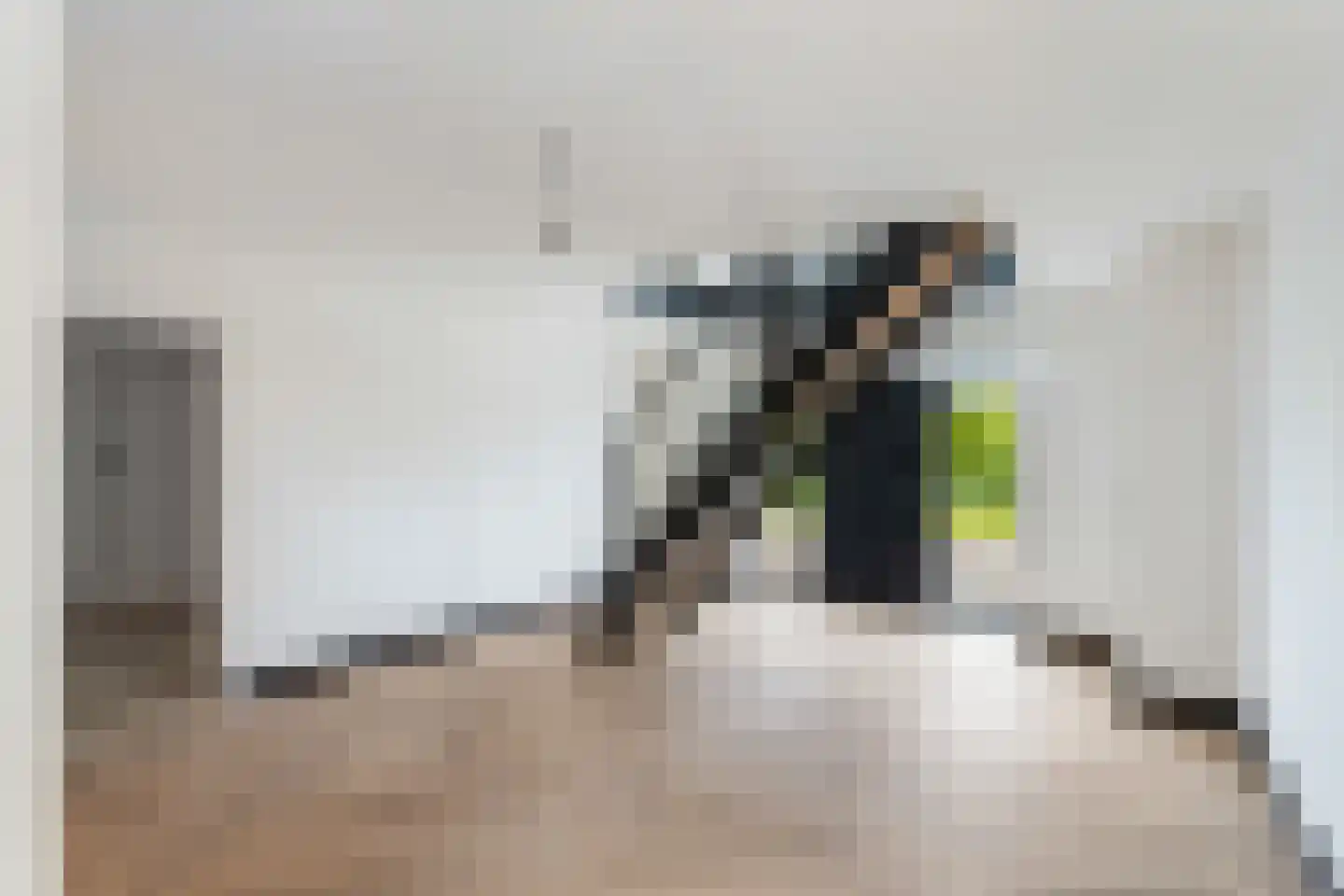Zuidzijdsedijk 30 Nieuw-Beijerland thumbnail 11