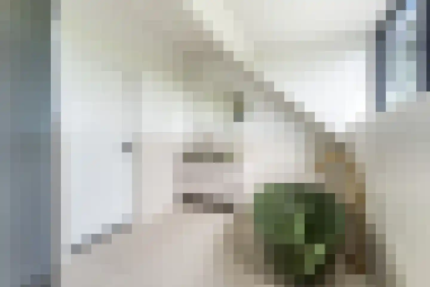 Zuidzijdsedijk 30 Nieuw-Beijerland thumbnail 22