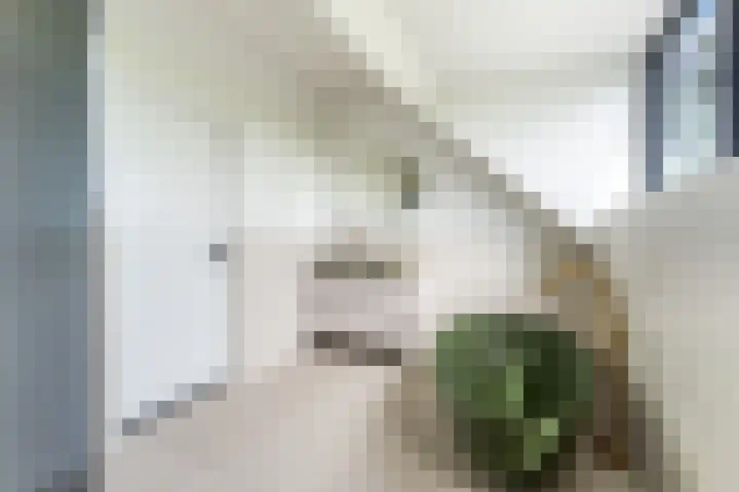 Zuidzijdsedijk 30 Nieuw-Beijerland thumbnail 23
