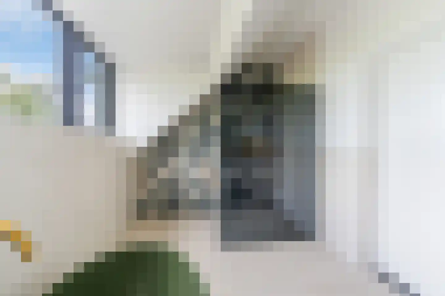 Zuidzijdsedijk 30 Nieuw-Beijerland thumbnail 23
