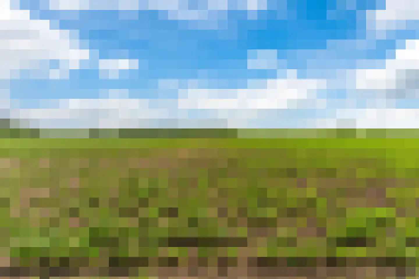 Zuidzijdsedijk 30 Nieuw-Beijerland thumbnail 45