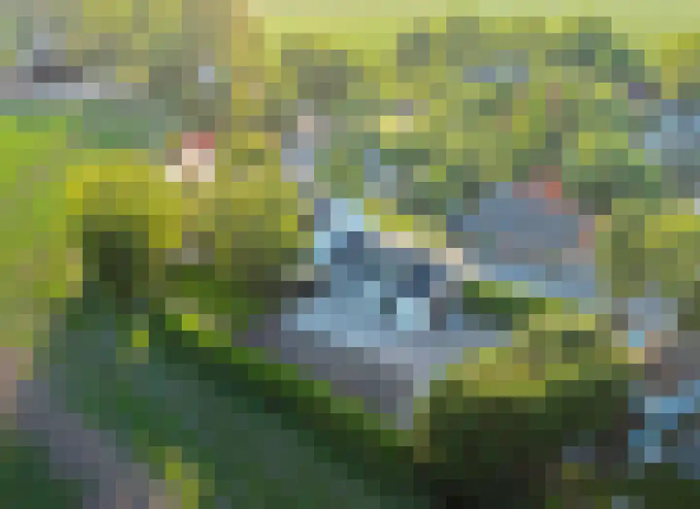 Zuidzijdsedijk 30 Nieuw-Beijerland thumbnail 47