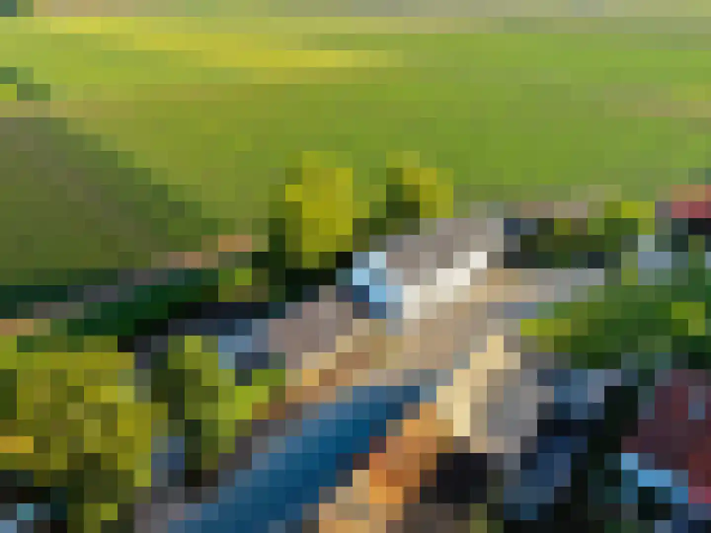 Zuidzijdsedijk 30 Nieuw-Beijerland thumbnail 48