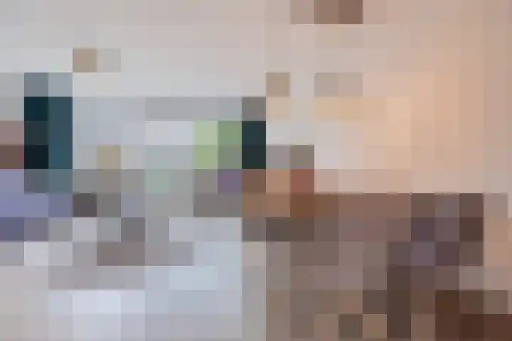 Zuidzijdsedijk 92 Hoogvliet Rotterdam thumbnail 15
