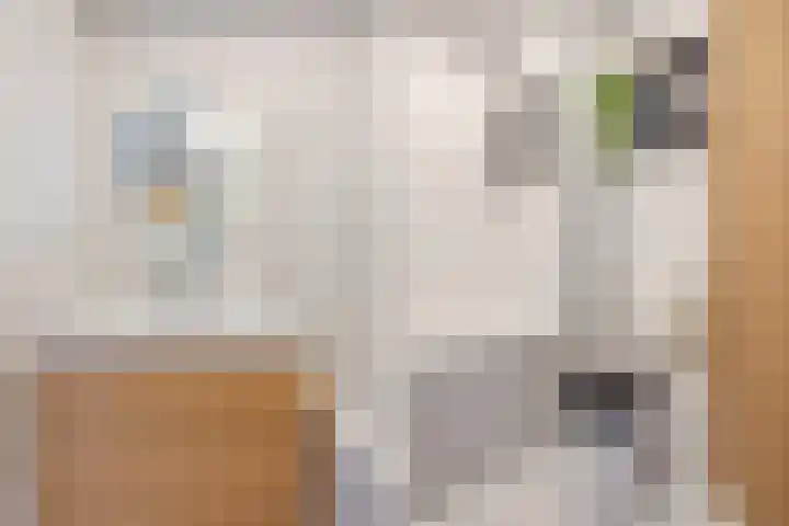 Zuidzijdsedijk 92 Hoogvliet Rotterdam thumbnail 27