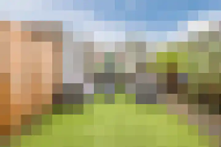 Zuidzijdsedijk 92 Hoogvliet Rotterdam thumbnail 34