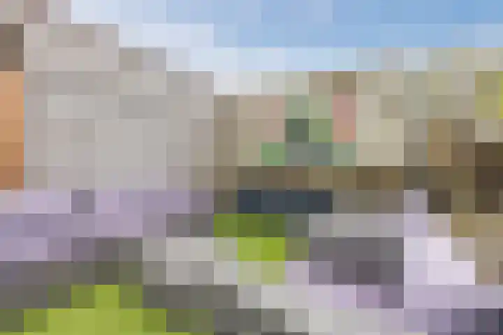 Zuidzijdsedijk 92 Hoogvliet Rotterdam thumbnail 35