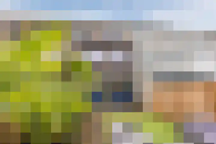 Zuidzijdsedijk 92 Hoogvliet Rotterdam thumbnail 36