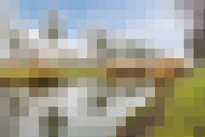 Zuidzijdsedijk 92 Hoogvliet Rotterdam thumbnail 39