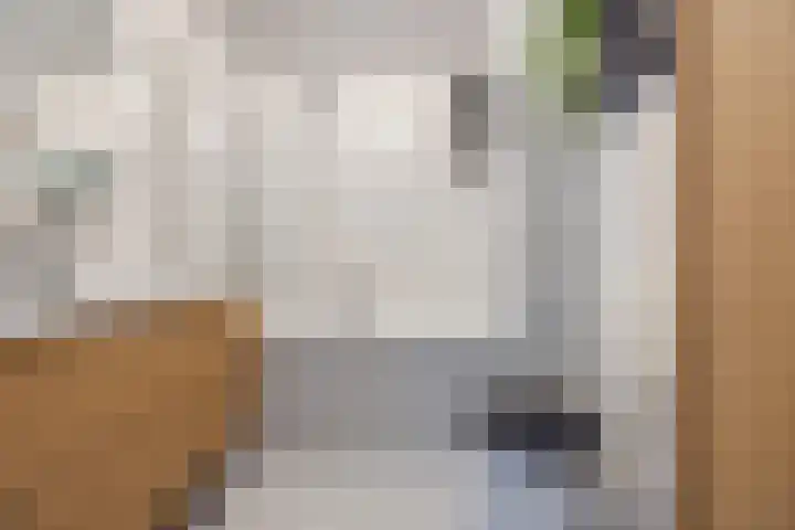 Zuidzijdsedijk 92 Hoogvliet Rotterdam thumbnail 4