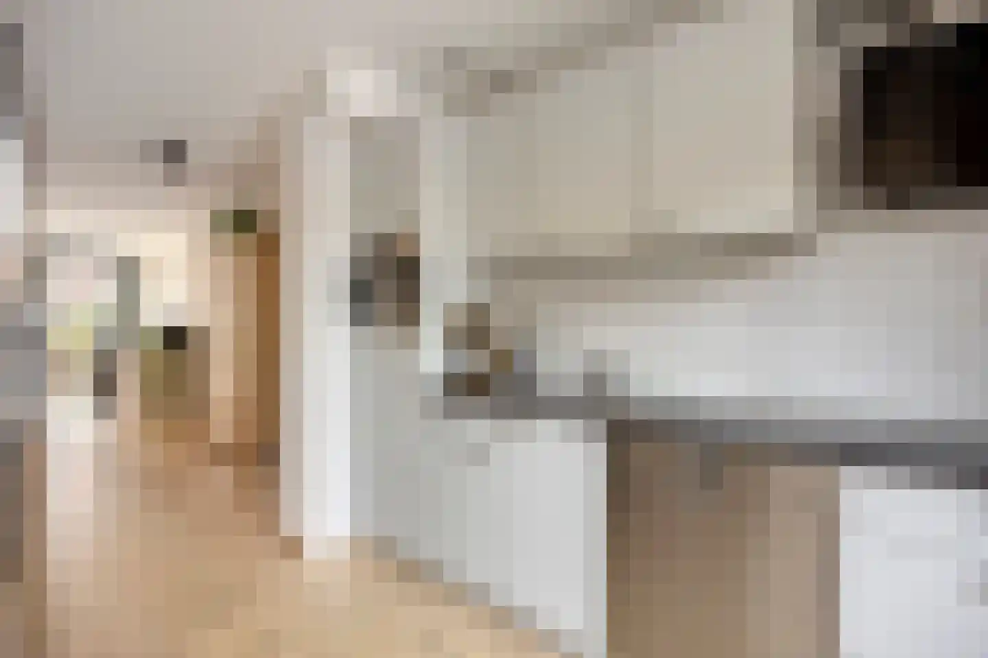 Zuidzijdsedijk 96 Hoogvliet Rotterdam thumbnail 10