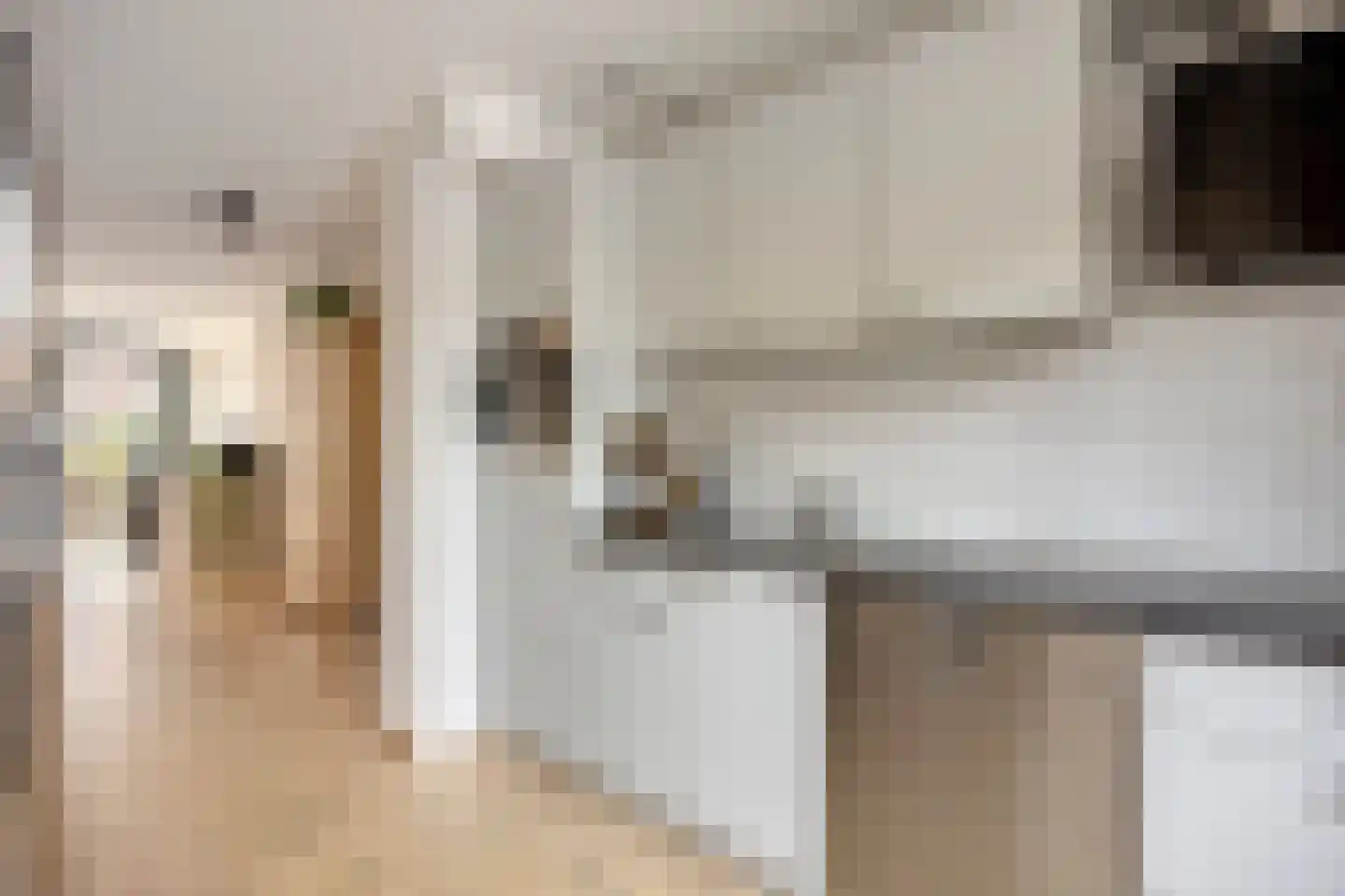 Zuidzijdsedijk 96 Hoogvliet Rotterdam thumbnail 10