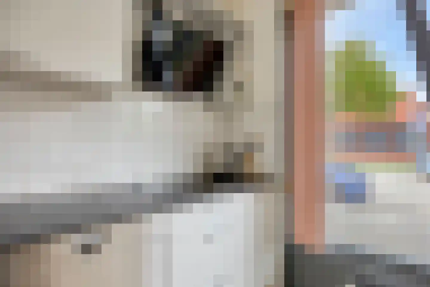 Zuidzijdsedijk 96 Hoogvliet Rotterdam thumbnail 11